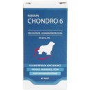 Univit Roboran Chondro 6 60 tbl