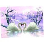 Norimpex Diamantový obrázek malování Labutí láska 30 x 40 cm – Zboží Mobilmania