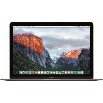 Apple MacBook MNYG2CZ/A