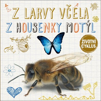 Z larvy včela, z housenky motýl - Životní cyklus – Zbozi.Blesk.cz