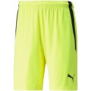 Puma teamLIGA Shorts