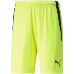 Puma teamLIGA Shorts – Zbozi.Blesk.cz