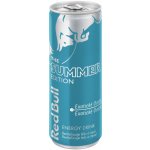 Red Bull Summer Edition plech 12 x 250 ml – Sleviste.cz