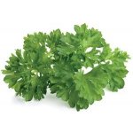 Emsa Click&Grow parsley seeds Smart Garden – Zbozi.Blesk.cz