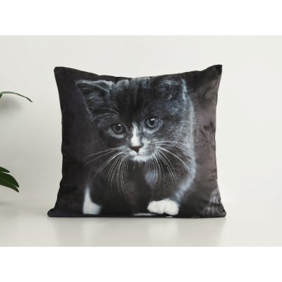 Xpose Mikroplyš MICINKA (digitální tisk) 40 x 40 cm – Zboží Dáma