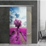 Glasdesign Viola skleněné posuvné dveře 77,5 x 205 cm – Zboží Mobilmania