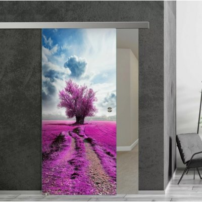 Glasdesign Viola skleněné posuvné dveře 77,5 x 205 cm – Zboží Mobilmania