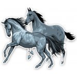 Samolepka (na auto, notebook) koně (5) – Sleviste.cz