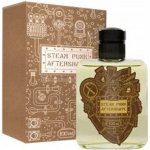 Pan Drwal Steam Punk voda po holení 100 ml – Hledejceny.cz