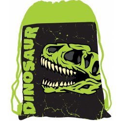 Karton P+P Premium Dinosaurus