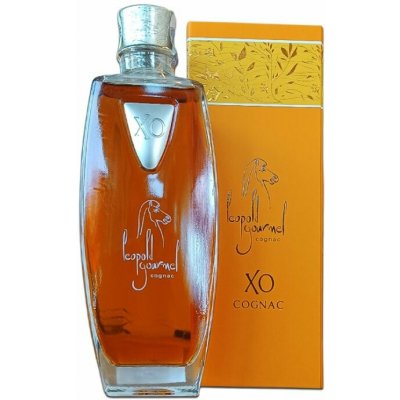 Cognac Classic Leopold Gourmel X.O. 40% 0,7 l ( dárkový box) – Hledejceny.cz