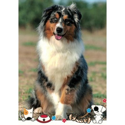 Pohlednice Pes 124 – Zboží Dáma