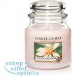 Yankee Candle Champaca Blossom 411 g – Zbozi.Blesk.cz