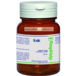 Joalis ReHerb RespiHelp 100 tablet – Hledejceny.cz