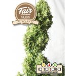 FAIR SEEDS AK47 semena neobsahují THC 5 ks – Zboží Dáma
