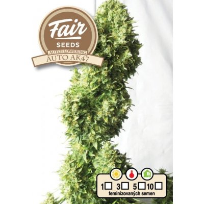 FAIR SEEDS AK47 semena neobsahují THC 5 ks – Zboží Dáma