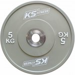 Kubisport CWPRO5 Celogumový kotouč s ocelovým středem 5 kg 50 mm – Hledejceny.cz