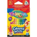 Colorino R33077 12 ks – Zboží Mobilmania