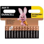 Duracell Basic 12ks AAA 42325 – Sleviste.cz