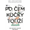 Kniha Po čem kočky touží? Ilustrovaný lidsko-kočičí slovník - Júki Hattori