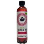 Puhdistamo Kombucha BIO 370 ml ginger lemon Bio Kombucha zázvor-citrón – Hledejceny.cz