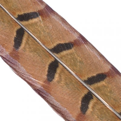 Hends Ocasní Pero z Bažanta Pheasant Tail Natural – Zboží Mobilmania