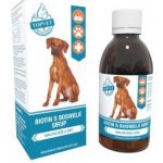 Topvet Sirup Biotin s boswelií 200 ml – Hledejceny.cz