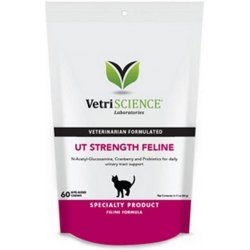 VetriScience UT Strenght Everyday moč. cesty koček 90 g