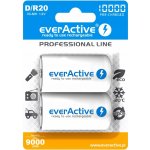 everActive professional line D 10000mAh 2ks EVHRL20-10000 – Zboží Živě