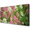 Obraz Obraz na plátně Polní Květiny Louka Příroda 100x50 cm