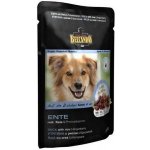 Belcando Kachna s rýží & brusinkami 125 g – Hledejceny.cz