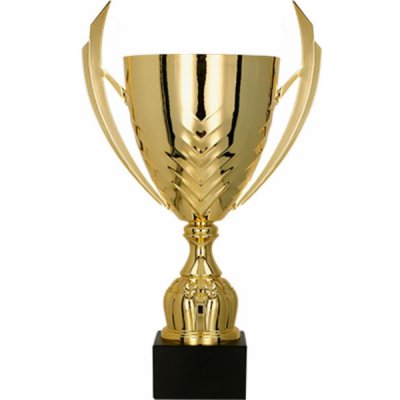 Kovový pohár Zlatý 30 cm 10 cm – Sleviste.cz