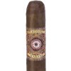 Doutník Perdomo Nicaragua Bourbon Barrel Aged Epicure Sun Grown