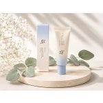 Beauty of Joseon Relief Sun Aqua Fresh Rice + B5 SPF50+ PA 50 ml ++++ - Lehký opalovací krém – Sleviste.cz