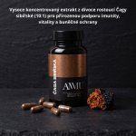 AMMU Čaga Sibiřská 60 kapslí – Hledejceny.cz