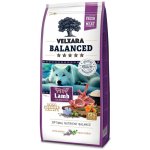 Velxara Balanced FM Dog Adult Monoprotein Lamb & Rice 12 kg – Hledejceny.cz