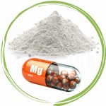 Dromy Hořčík Magnesium citrát 0,5 kg – Zboží Mobilmania