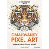 Omalovánka Omalovánky Pixel Art Webster Joanna