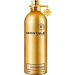 Montale Aoud Damascus parfémovaná voda dámská 100 ml – Hledejceny.cz