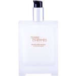 Hermes Terre D Hermes balzám po holeni 100 ml – Zboží Dáma