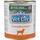 Vet Life Natural Dog Convalescence 300 g