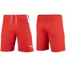 Puma teamLIGA Shorts