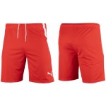 Puma teamLIGA Shorts – Zbozi.Blesk.cz