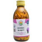 Salvia Paradise Kozinec blanitý kapsle 120 ks – Hledejceny.cz