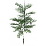 Kentia palma, 150 cm – Hledejceny.cz
