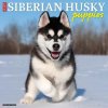 Kalendář Just Siberian Husky Puppies Wall 2023