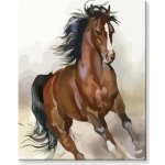 Malování podle čísel Kůň v běhu – Hledejceny.cz