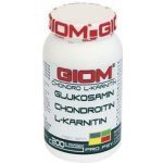 Giom Chondro L-karnitin Sport 400 g – Hledejceny.cz