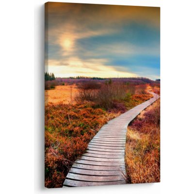 Obraz - Podzimní cesta krajinou, jednodílný 60x90 cm – Hledejceny.cz