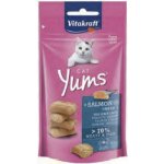 Vitakraft Yums losos 40 g – Zbozi.Blesk.cz